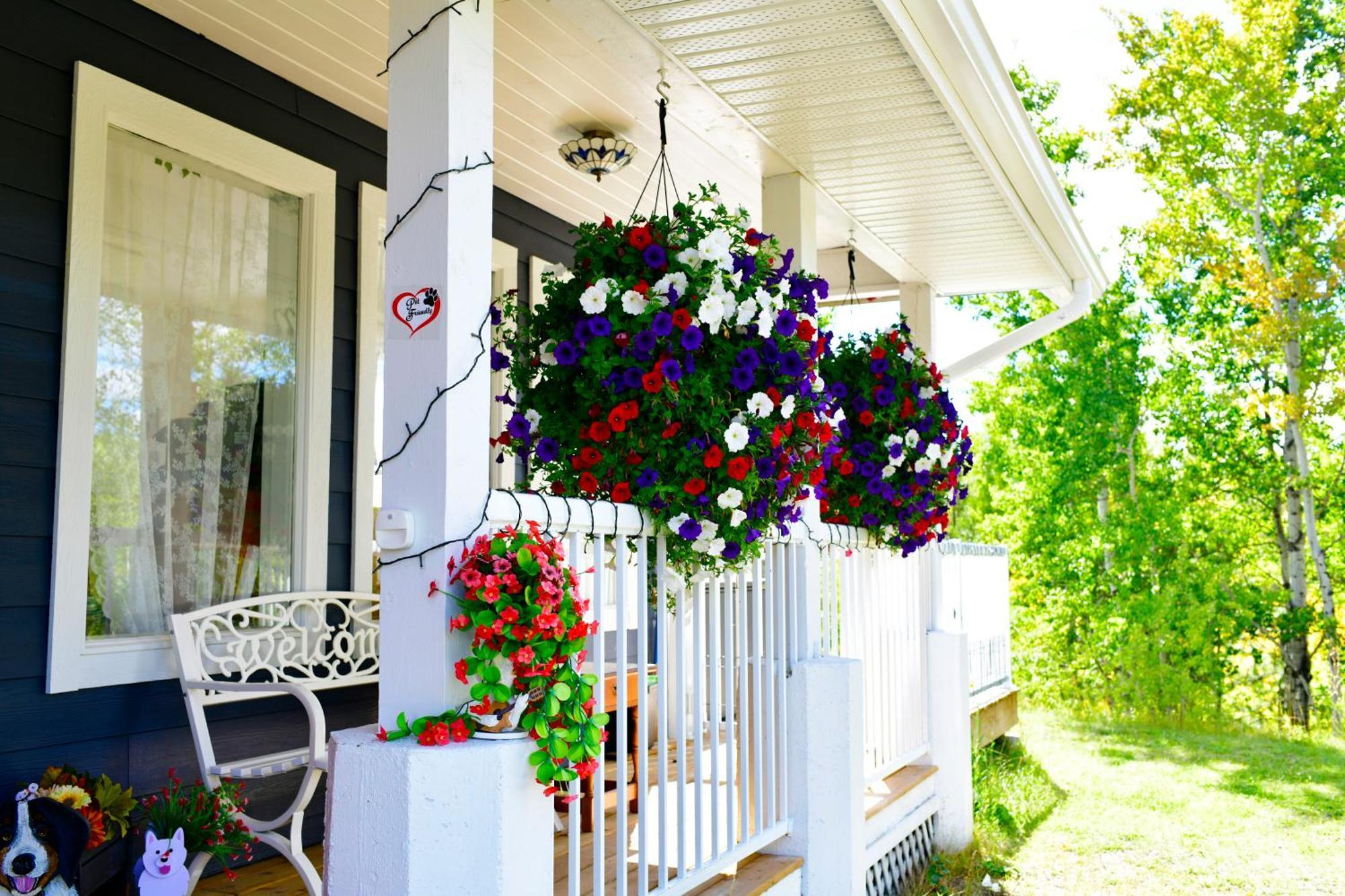 The Blue Cottage B&B Seventy Mile House Экстерьер фото